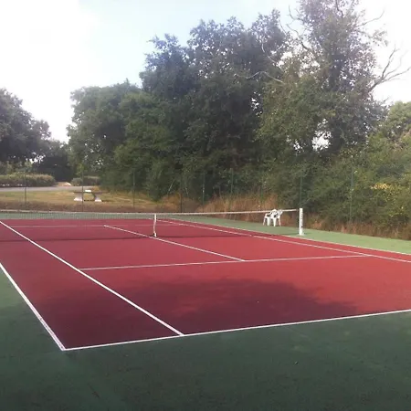 Dans Chateau Exceptionnel Piscine -golf -tennis Lägenhet Les Forges (Deux-Sevres)