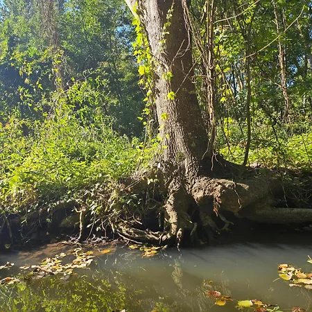 Dans Chateau Exceptionnel Les Forges
