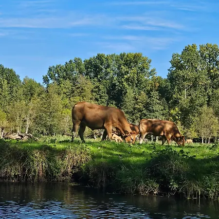 Dans Chateau Exceptionnel *