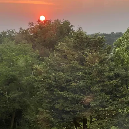 Dans Chateau Exceptionnel