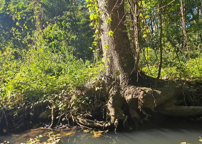 Dans Chateau Exceptionnel Les Forges (Deux-Sevres)