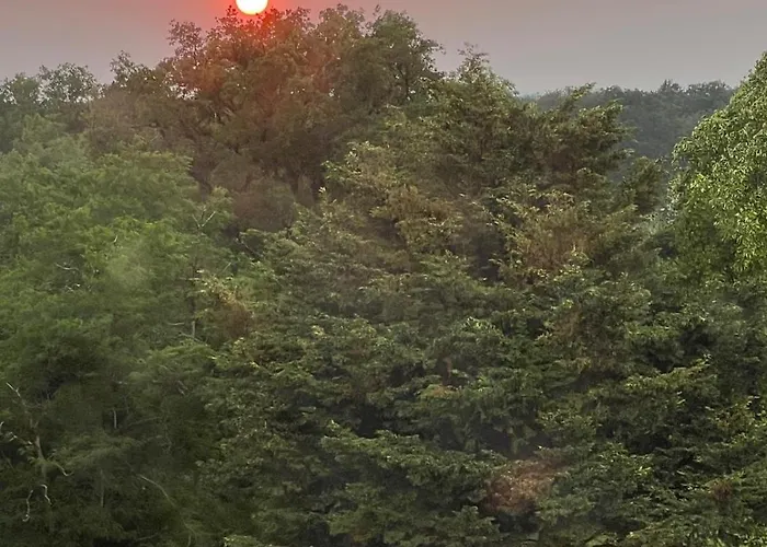 Dans Chateau Exceptionnel